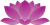 lotus-gross-hg-transparent.png